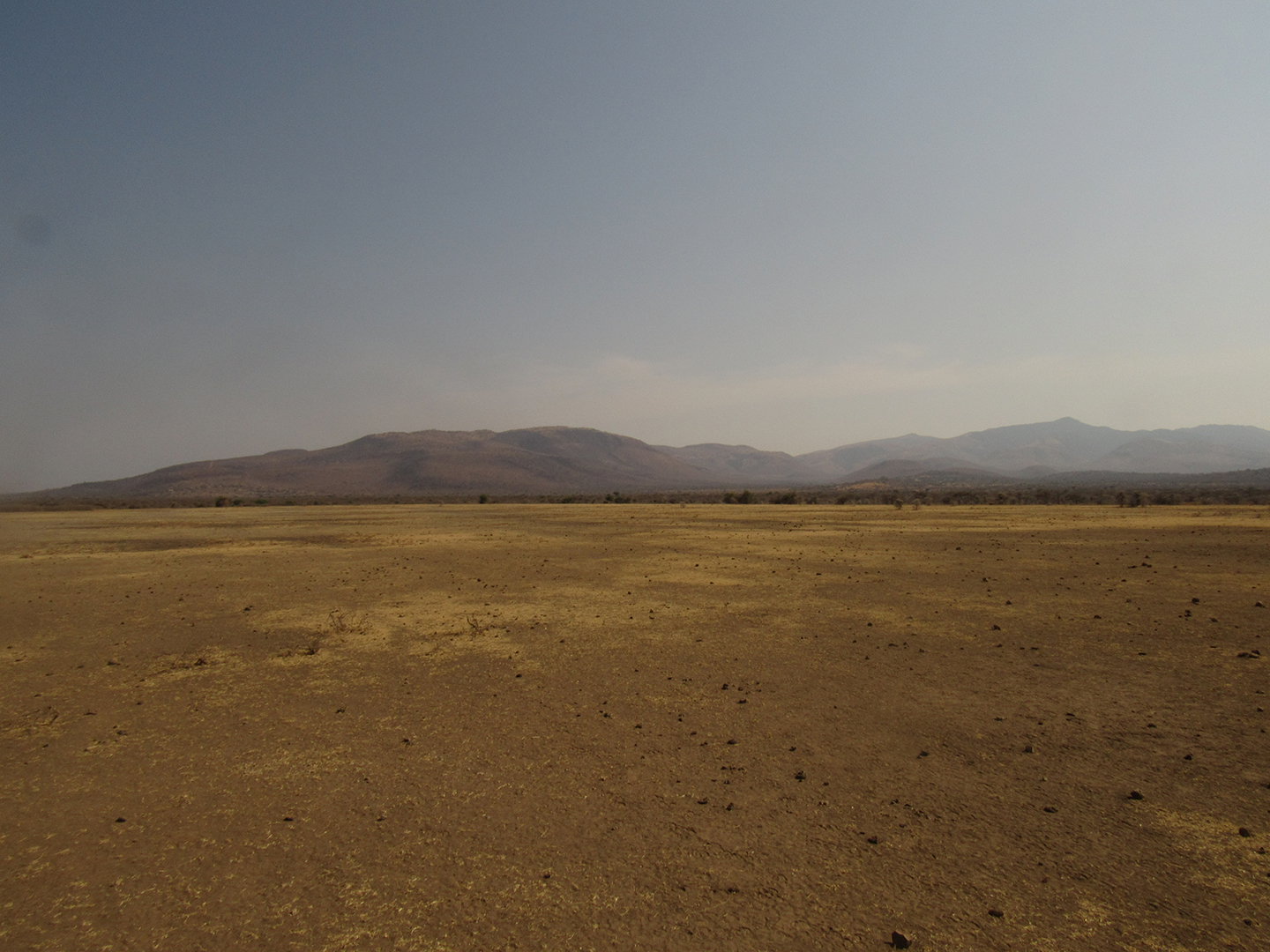 Climate change in East Africa